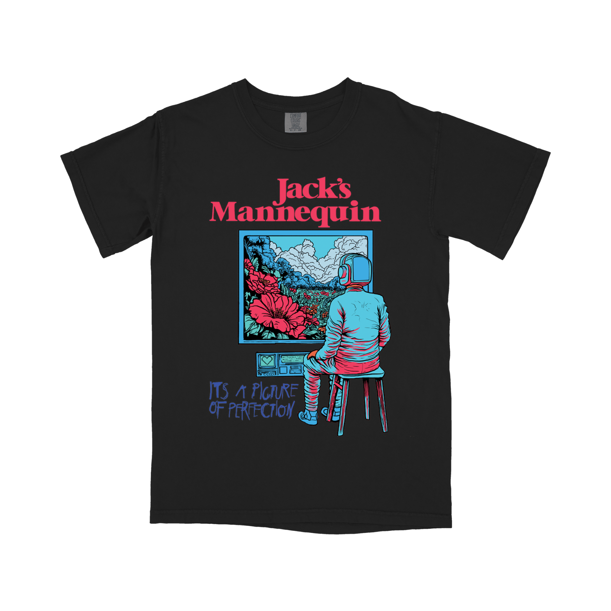 Picture of Perfection T-Shirt