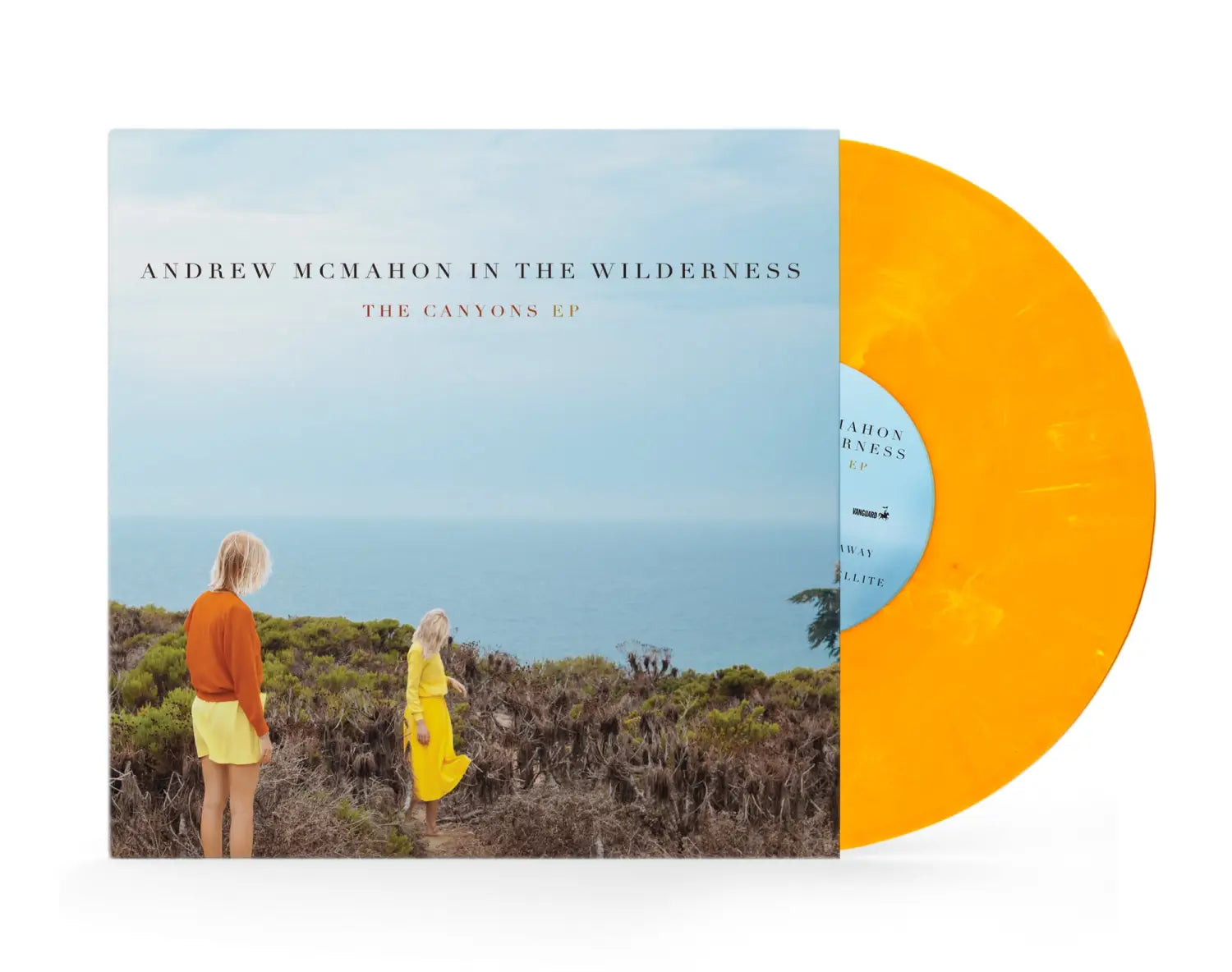 Vinyl record with blank cover